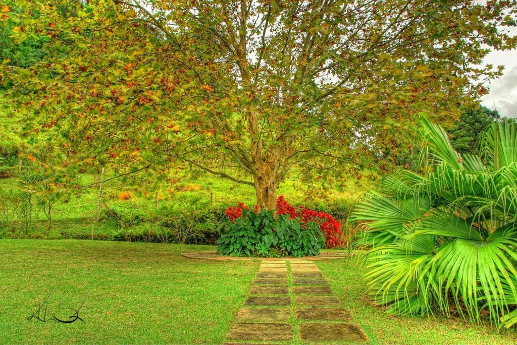 Pousada Alto Sao Martinho Buitenkant foto